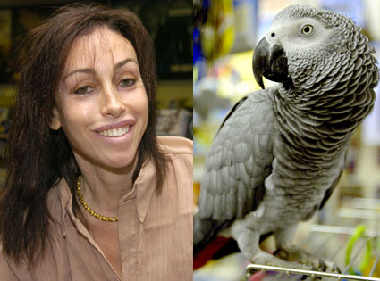Heidi Fleiss, Parrot Heidi Fleiss, Parrot